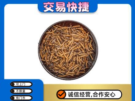 濮阳回收散虫草